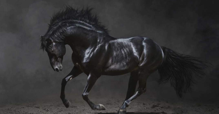 大源機械：以“黑馬式”速度實現民族印機制造業(yè)的智能化創(chuàng)新